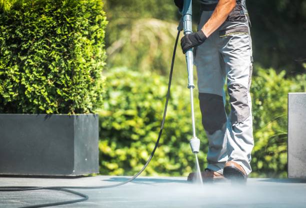Best Soft Washing for Delicate Surfaces in Benwood, WV