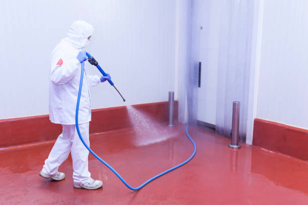 Best Driveway Cleaning and Restoration in Benwood, WV