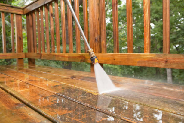 Best Roof Cleaning and Mildew Removal in Benwood, WV